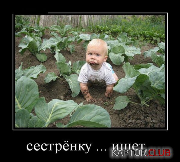 1417440279_demotivatory_20.jpg | Рено Каптур Клуб Россия | Форум KAPTUR.SU