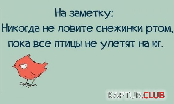 1417684845_podborka_54.jpg | Рено Каптур Клуб Россия | Форум KAPTUR.SU