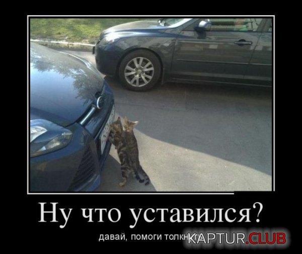 1418108406_demotivatory_15.jpg | Рено Каптур Клуб Россия | Форум KAPTUR.SU