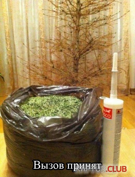 1418108508_podborka_02.jpg | Рено Каптур Клуб Россия | Форум KAPTUR.SU