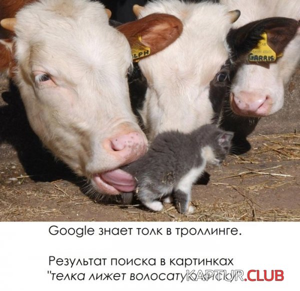 1418108823_podborka_46.jpg | Рено Каптур Клуб Россия | Форум KAPTUR.SU