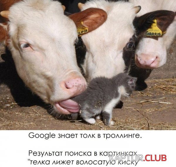 1418108823_podborka_46.jpg | Рено Каптур Клуб Россия | Форум KAPTUR.SU
