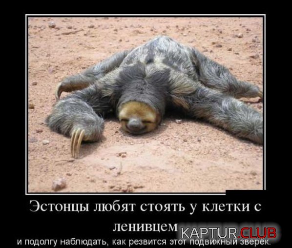 1418286560_demotivatory_09.jpg | Рено Каптур Клуб Россия | Форум KAPTUR.SU