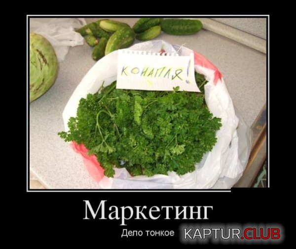 1418286641_demotivatory_30.jpg | Рено Каптур Клуб Россия | Форум KAPTUR.SU