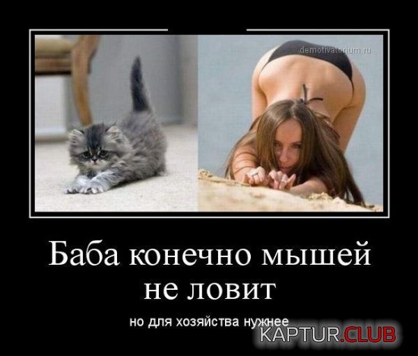 1418642263_demotivatory_08.jpg | Рено Каптур Клуб Россия | Форум KAPTUR.SU