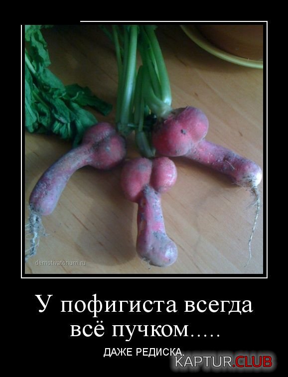 1418642288_demotivatory_13.jpg | Рено Каптур Клуб Россия | Форум KAPTUR.SU