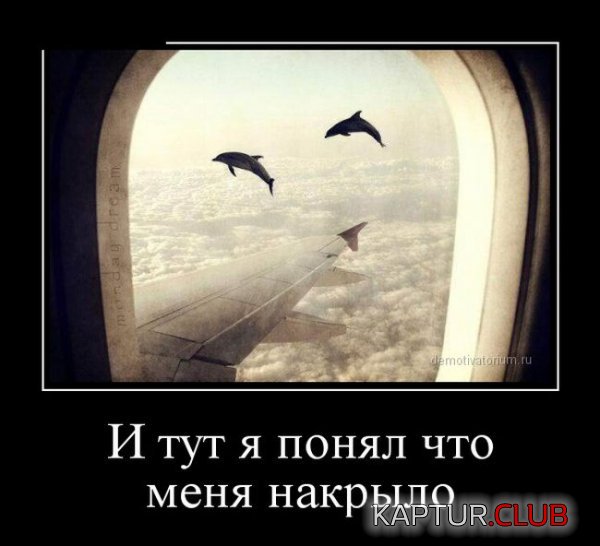 1418727330_demotivatory_03.jpg | Рено Каптур Клуб Россия | Форум KAPTUR.SU