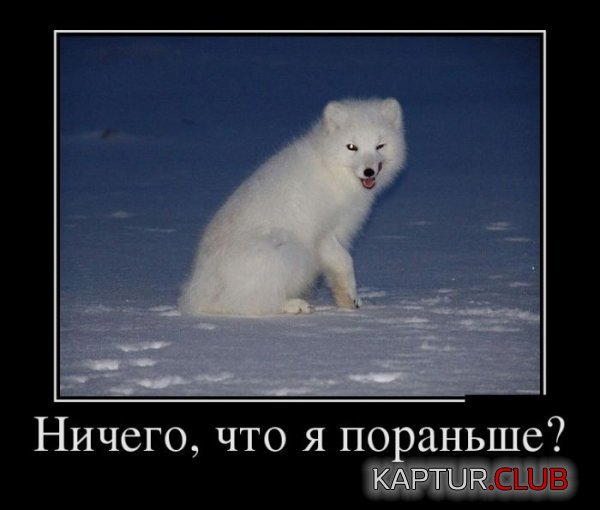 1418975986_demotivatory_09.jpg | Рено Каптур Клуб Россия | Форум KAPTUR.SU