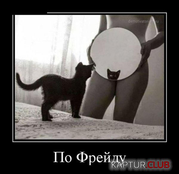 1418976043_demotivatory_20.jpg | Рено Каптур Клуб Россия | Форум KAPTUR.SU