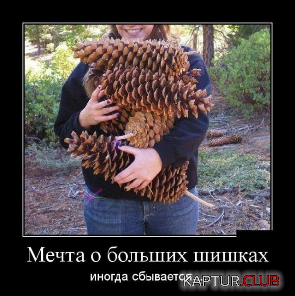 1419317872_demotivatory_02.jpg | Рено Каптур Клуб Россия | Форум KAPTUR.SU