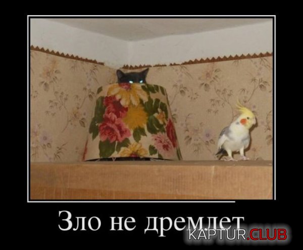 1419841099_demotivatory_13.jpg | Рено Каптур Клуб Россия | Форум KAPTUR.SU