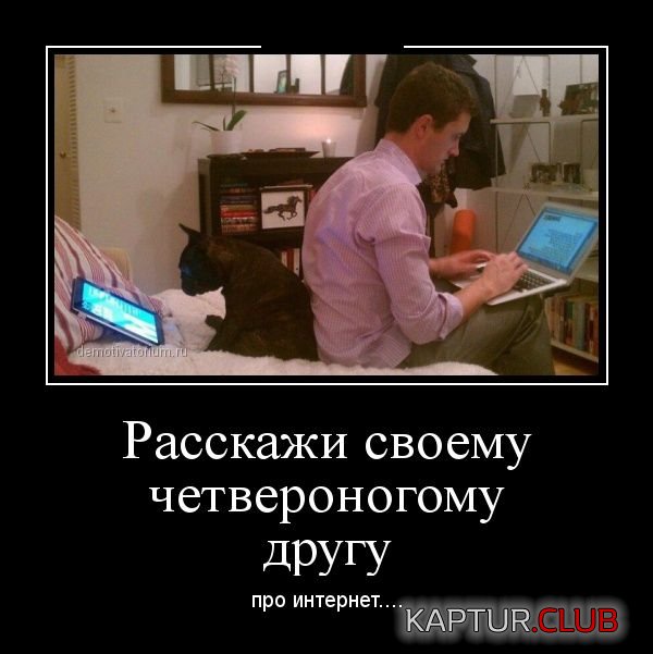 1419841135_demotivatory_25.jpg | Рено Каптур Клуб Россия | Форум KAPTUR.SU
