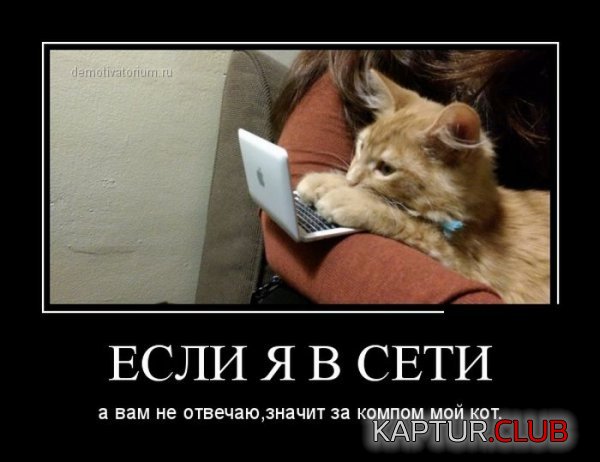 1419841198_demotivatory_23.jpg | Рено Каптур Клуб Россия | Форум KAPTUR.SU