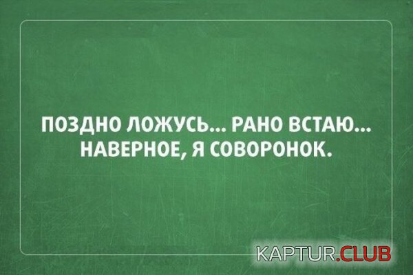 1419927243_atkritki_12.jpg | Рено Каптур Клуб Россия | Форум KAPTUR.SU