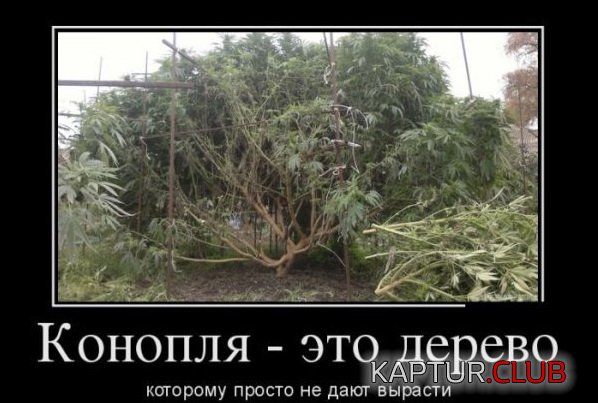 1419927563_demotivatory_23.jpg | Рено Каптур Клуб Россия | Форум KAPTUR.SU