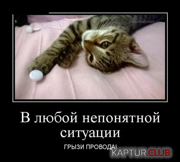 1419927614_demotivatory_29.jpg | Рено Каптур Клуб Россия | Форум KAPTUR.SU