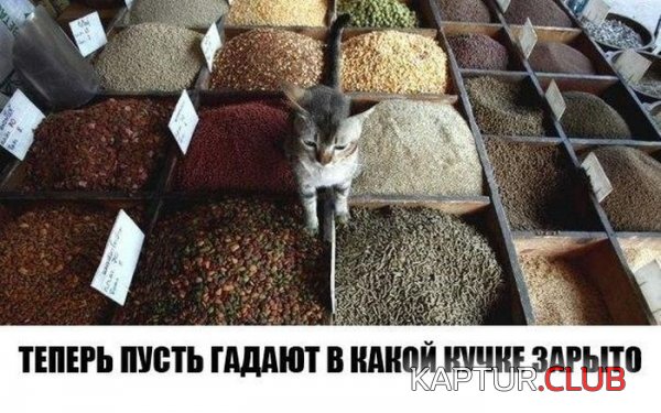 1419928349_podborka_90.jpg | Рено Каптур Клуб Россия | Форум KAPTUR.SU