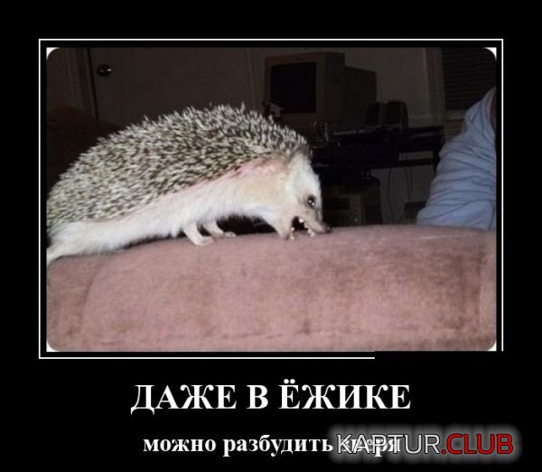 1420446967_demotivatory_23.jpg | Рено Каптур Клуб Россия | Форум KAPTUR.SU