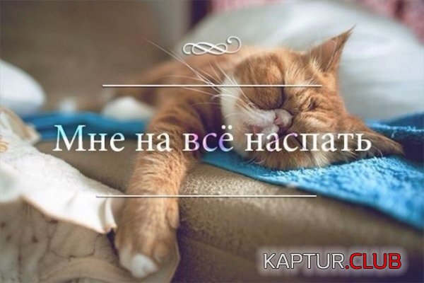 1420538220_podborka_105.jpg | Рено Каптур Клуб Россия | Форум KAPTUR.SU
