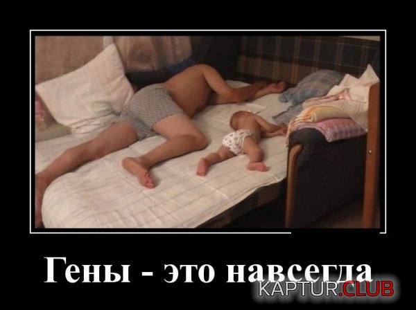1420706242_demotivatory_22.jpg | Рено Каптур Клуб Россия | Форум KAPTUR.SU