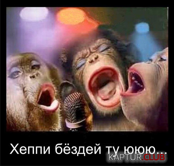 142138210477582115.jpg | Рено Каптур Клуб Россия | Форум KAPTUR.SU