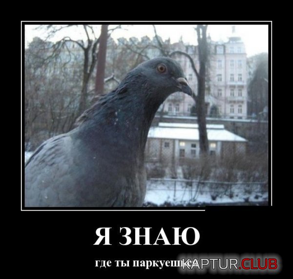 1421741549_demotivatory_02.jpg | Рено Каптур Клуб Россия | Форум KAPTUR.SU