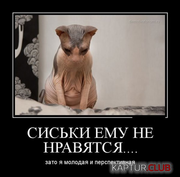 1421826945_demotivatory_05.jpg | Рено Каптур Клуб Россия | Форум KAPTUR.SU