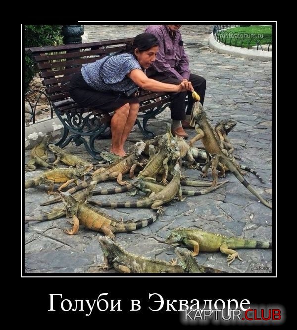 1421826997_demotivatory_02.jpg | Рено Каптур Клуб Россия | Форум KAPTUR.SU