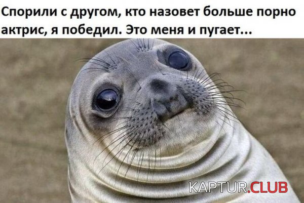 1421827211_podborka_08.jpg | Рено Каптур Клуб Россия | Форум KAPTUR.SU