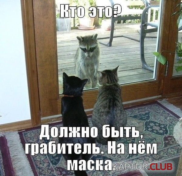 1421912373_podborka_16.jpg | Рено Каптур Клуб Россия | Форум KAPTUR.SU