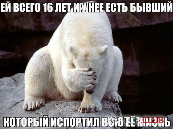 1421912628_podborka_47.jpg | Рено Каптур Клуб Россия | Форум KAPTUR.SU