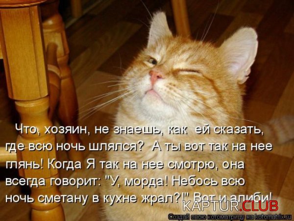 1421996539_kotomatrix_01.jpg | Рено Каптур Клуб Россия | Форум KAPTUR.SU