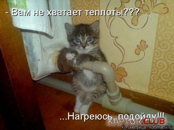 1421996573_kotomatrix_05.jpg | Рено Каптур Клуб Россия | Форум KAPTUR.SU