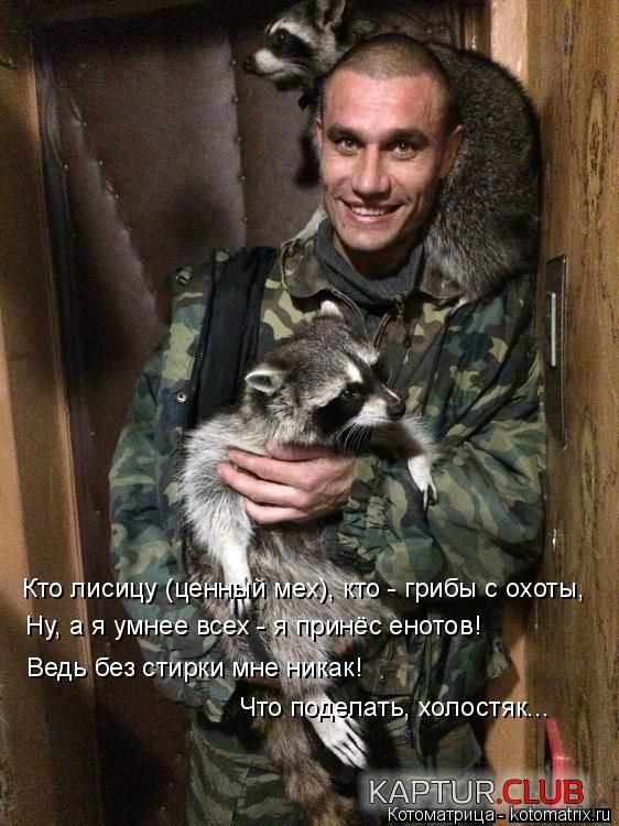 1421996639_kotomatrix_06.jpg | Рено Каптур Клуб Россия | Форум KAPTUR.SU