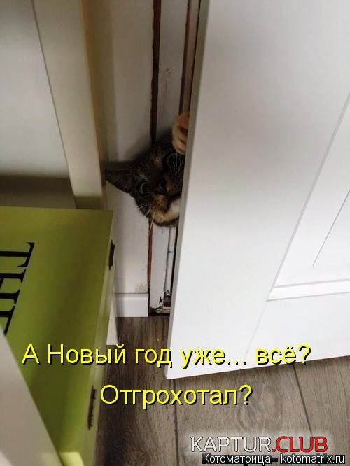 1421996663_kotomatrix_12.jpg | Рено Каптур Клуб Россия | Форум KAPTUR.SU