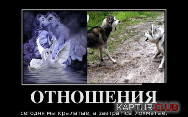 1422000267_demotivatory_12.jpg | Рено Каптур Клуб Россия | Форум KAPTUR.SU