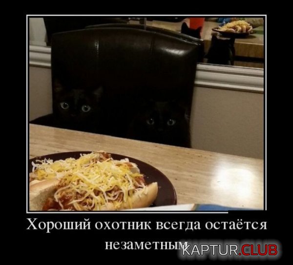 1422260618_demotivatory_14.jpg | Рено Каптур Клуб Россия | Форум KAPTUR.SU