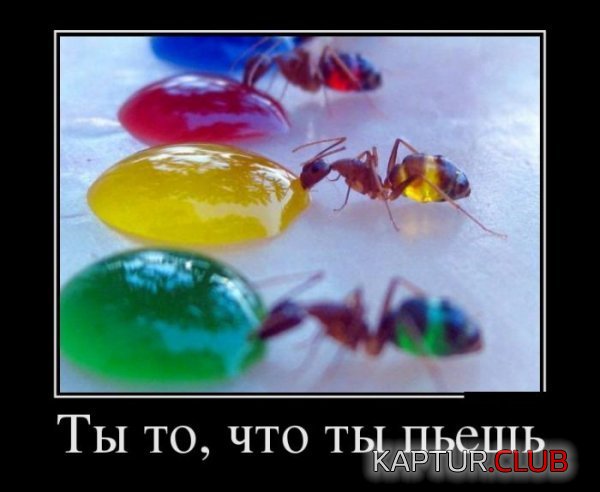 1422260633_demotivatory_19.jpg | Рено Каптур Клуб Россия | Форум KAPTUR.SU