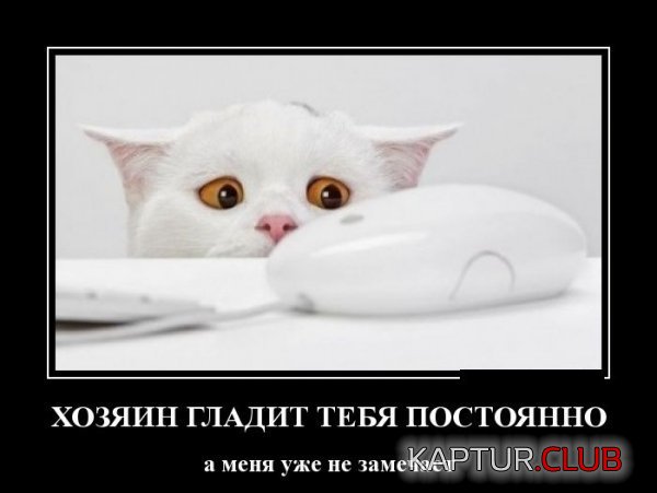 1422522579_demotivatory_18.jpg | Рено Каптур Клуб Россия | Форум KAPTUR.SU