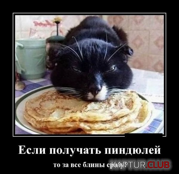 1422522646_demotivatory_24.jpg | Рено Каптур Клуб Россия | Форум KAPTUR.SU