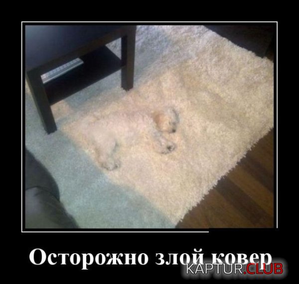1422522679_demotivatory_21.jpg | Рено Каптур Клуб Россия | Форум KAPTUR.SU