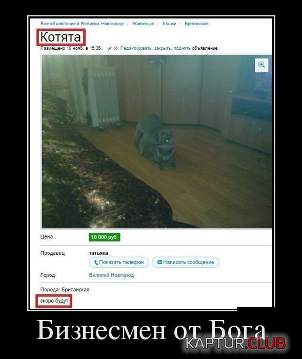 1422607988_demotivatory_06.jpg | Рено Каптур Клуб Россия | Форум KAPTUR.SU