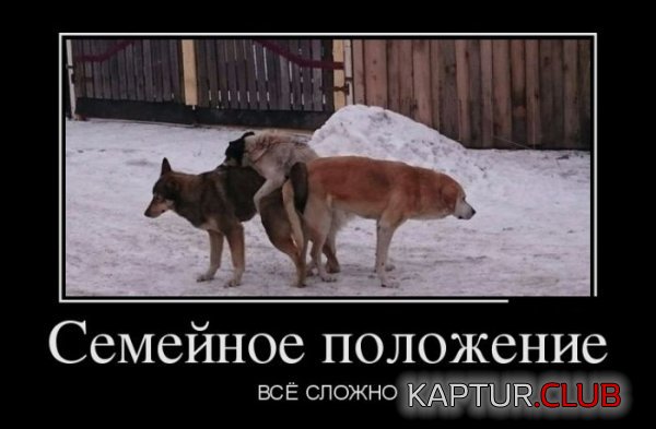 1422864243_demotivatory_13.jpg | Рено Каптур Клуб Россия | Форум KAPTUR.SU