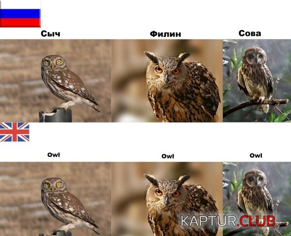 1422864826_podborka_36.jpg | Рено Каптур Клуб Россия | Форум KAPTUR.SU