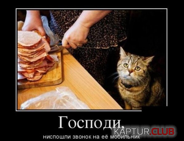 1423037982_demotivatory_17.jpg | Рено Каптур Клуб Россия | Форум KAPTUR.SU