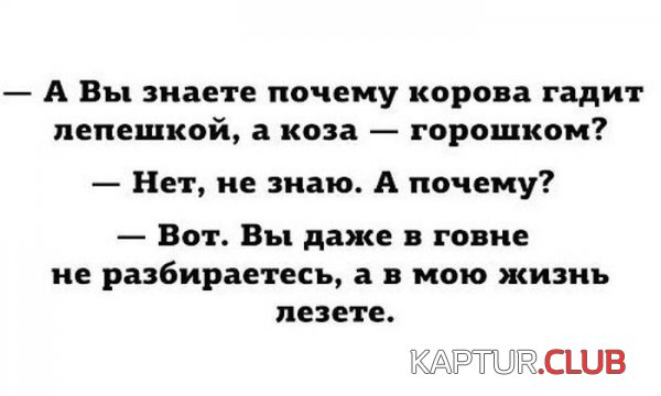 1423038063_podborka_05.jpg | Рено Каптур Клуб Россия | Форум KAPTUR.SU