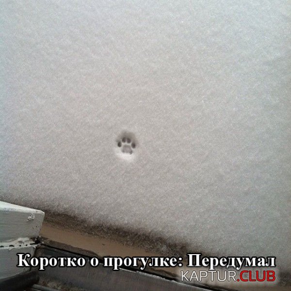 1423038119_podborka_02.jpg | Рено Каптур Клуб Россия | Форум KAPTUR.SU