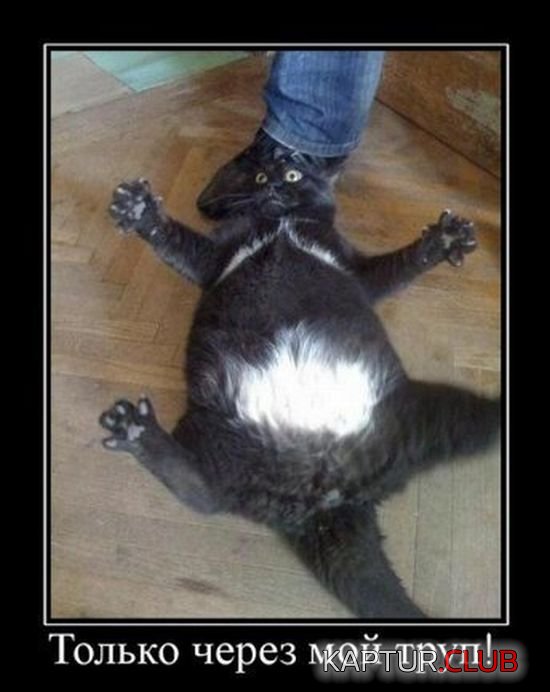 1423213698_demotivatory_12.jpg | Рено Каптур Клуб Россия | Форум KAPTUR.SU