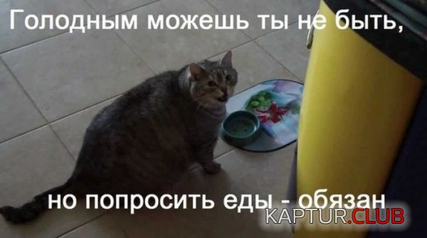 1423214325_podborka_72.jpg | Рено Каптур Клуб Россия | Форум KAPTUR.SU