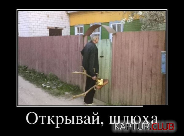 1423554364_demotivatory_29.jpg | Рено Каптур Клуб Россия | Форум KAPTUR.SU
